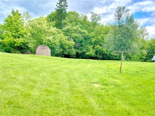 a view of a field with a tree
