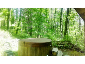 239 Timber Hawk Road Stockbridge, VT 05772 - Photo 15 of 19