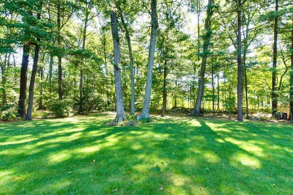111 Drake Road Burlington, MA 01803 - Photo 4 of 25 Gallery Image 4