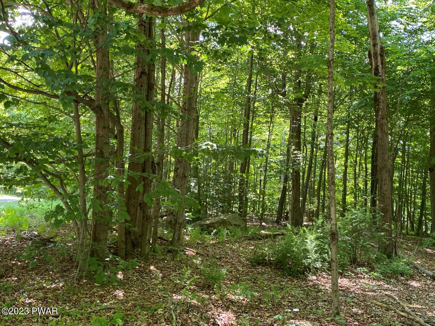 Timbertop Acres Newfoundland, PA 18445 - Photo 4 of 23