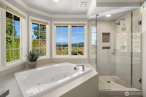 a bathroom with a bathtub and a shower