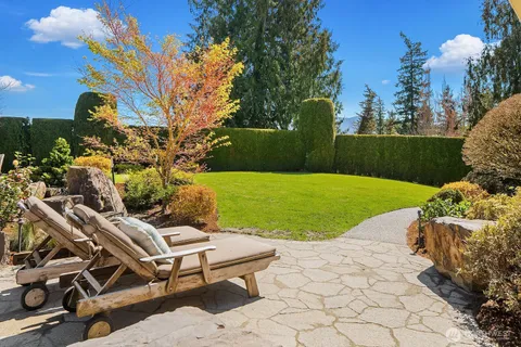 a view of a backyard with plants