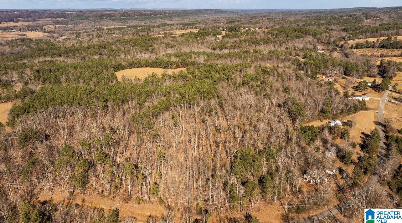 0 Seven Seven Bark Lane, Unit 1 Oneonta, AL 35121 - Photo 1 of 1