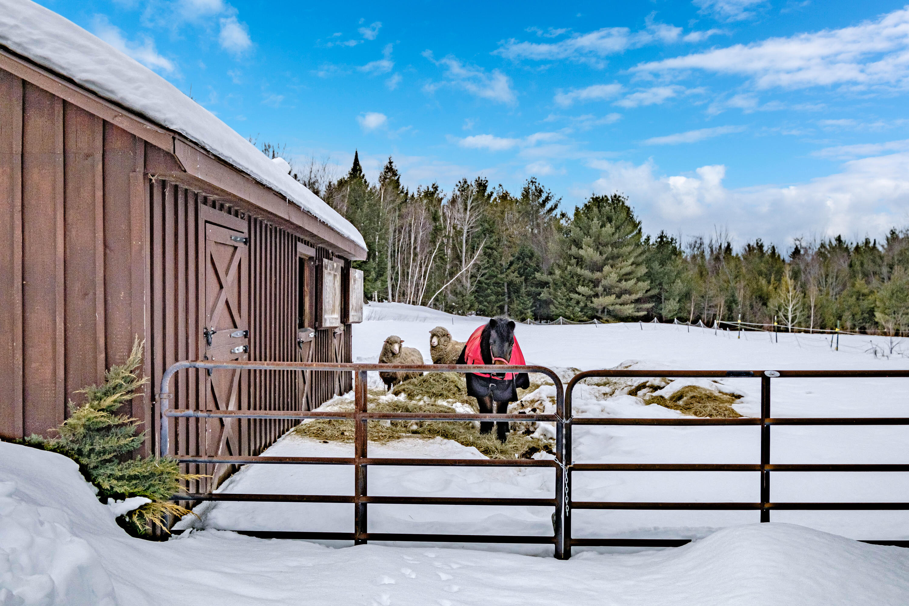 65 Lange Road Bethel, ME 04217 - Photo 51 of 75 20220211gp-62067a