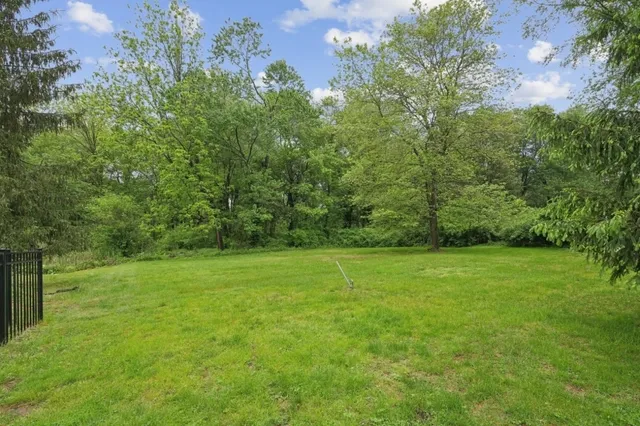 a view of field with tall trees