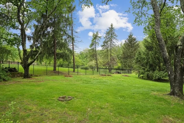 a view of a field with a tree