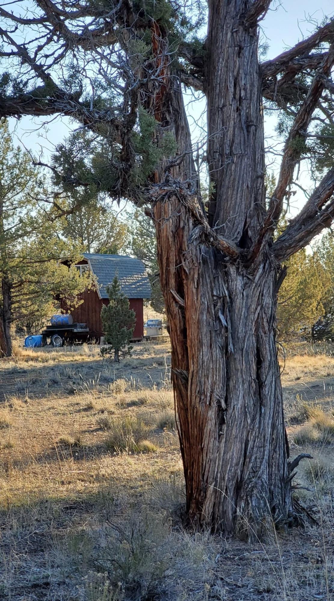 Southeast Huron Road Prineville, OR 97754 - Photo 21 of 25 20