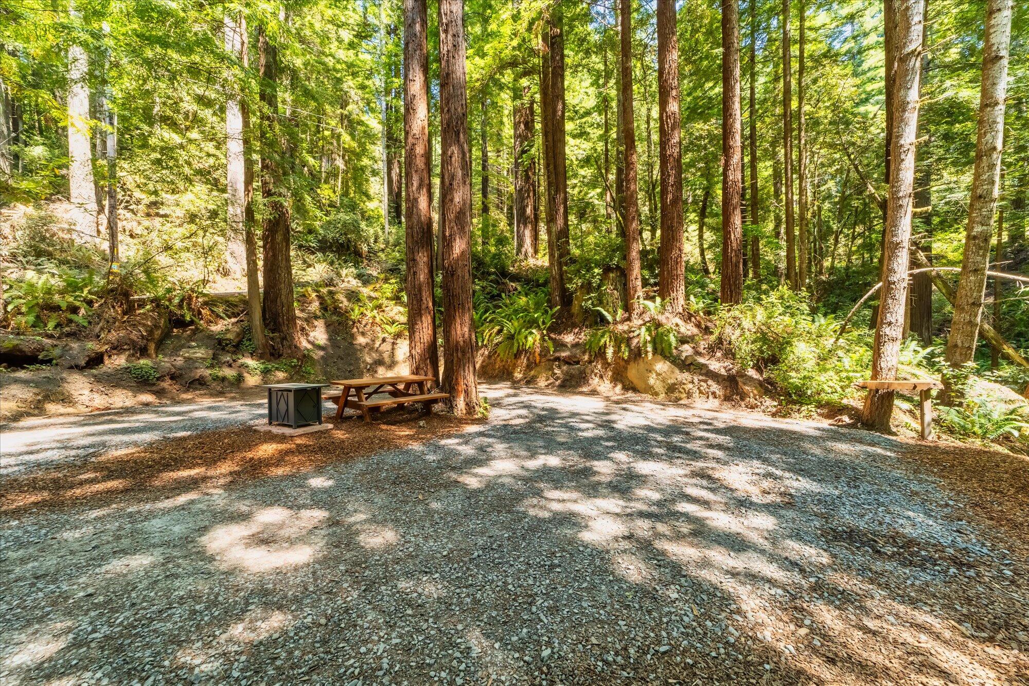 451 Tip Top Ridge Road McKinleyville, CA 95519 - Photo 116 of 129