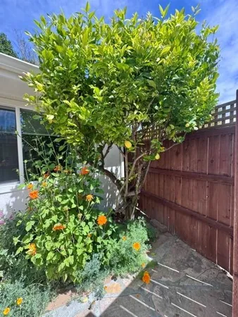 $2,800 | 2077 Rebild Drive, Solvang, CA 93463