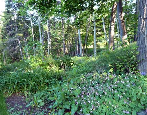 36 Main Street Mount Desert, ME 04675 - Photo 7 of 21 Land/Lot.