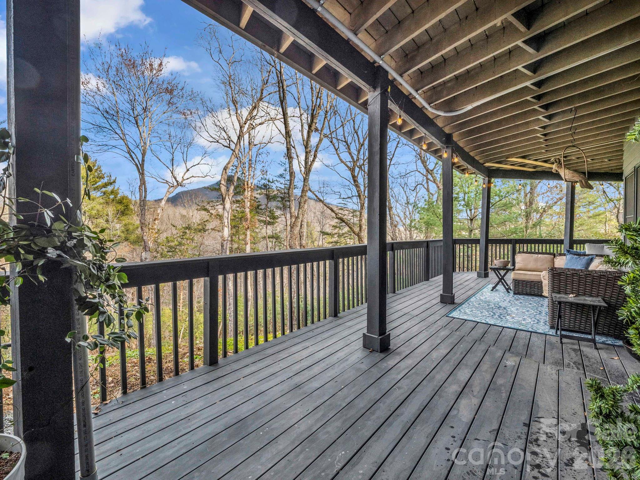 158 Rock Spring Road Lake Lure, NC 28746 - Photo 44 of 48