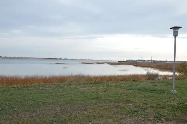a view of a lake from a yard