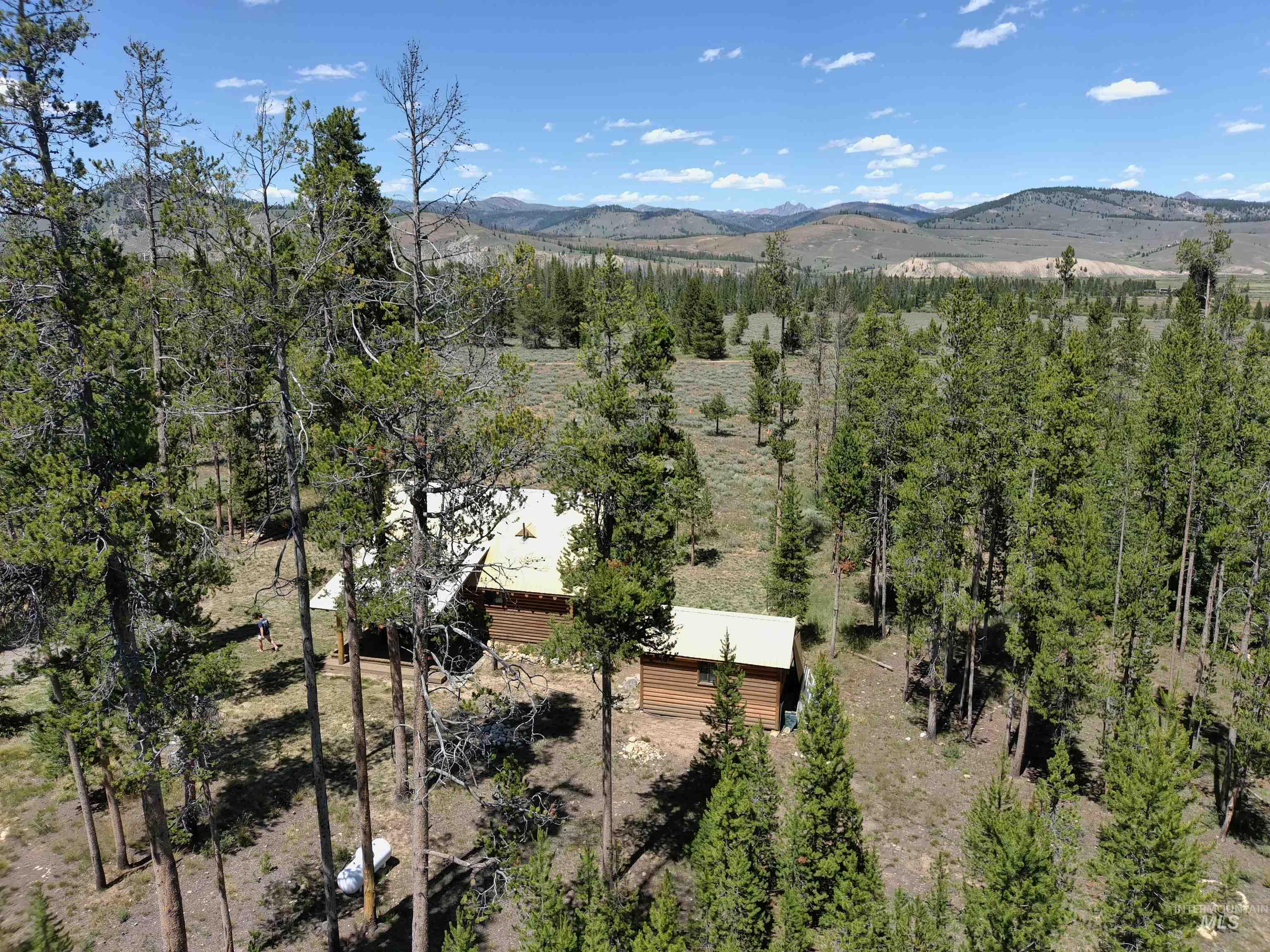 35 Sawtooth Way Stanley, ID 83278 - Photo 33 of 36
