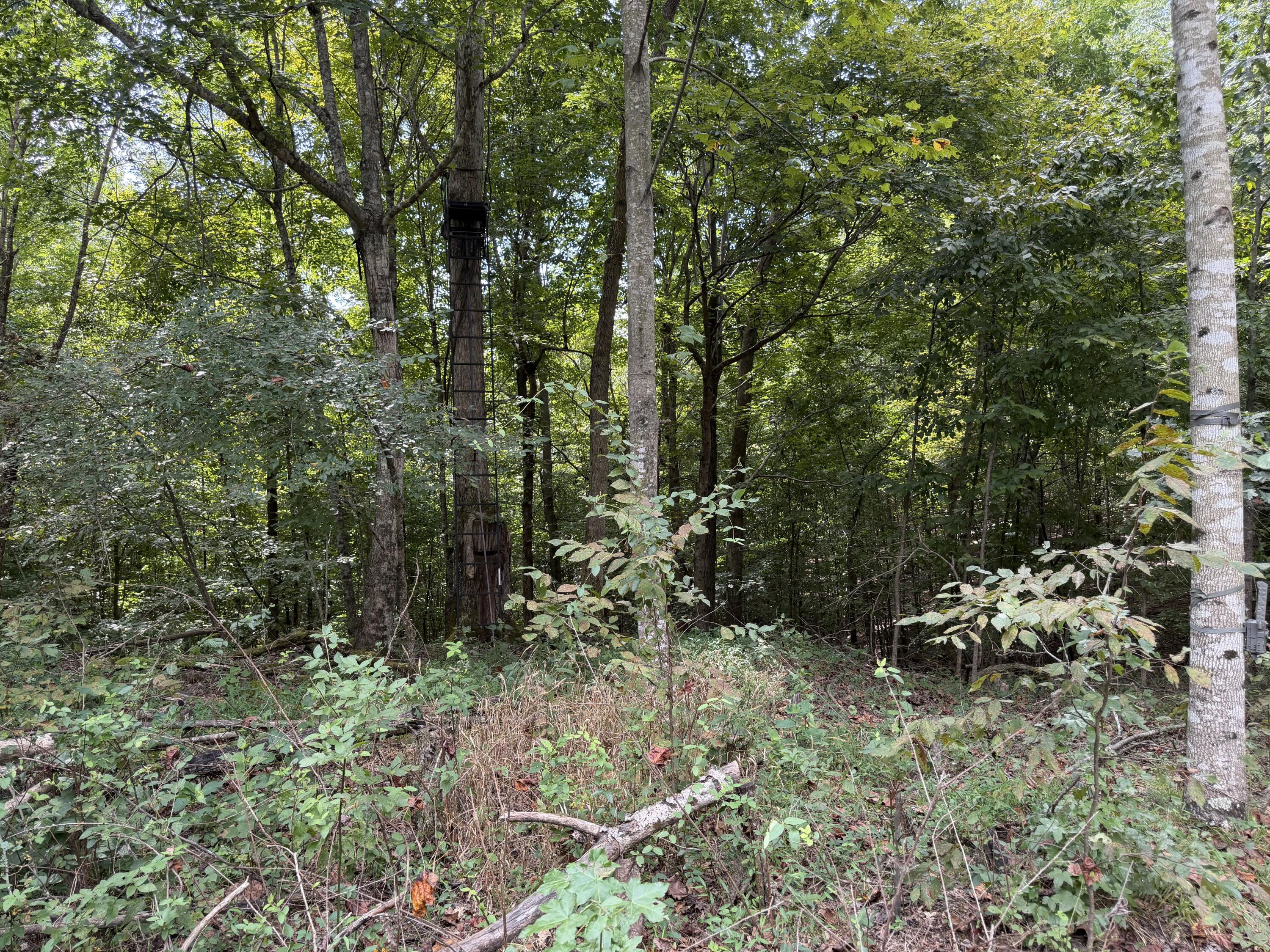 6861 Rockcastle Road Cadiz, KY 42211 - Photo 69 of 75 7