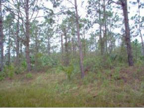 2452 Southwest Harbison Palm Bay, FL 32908 - Photo 1 of 1 Primary Photo