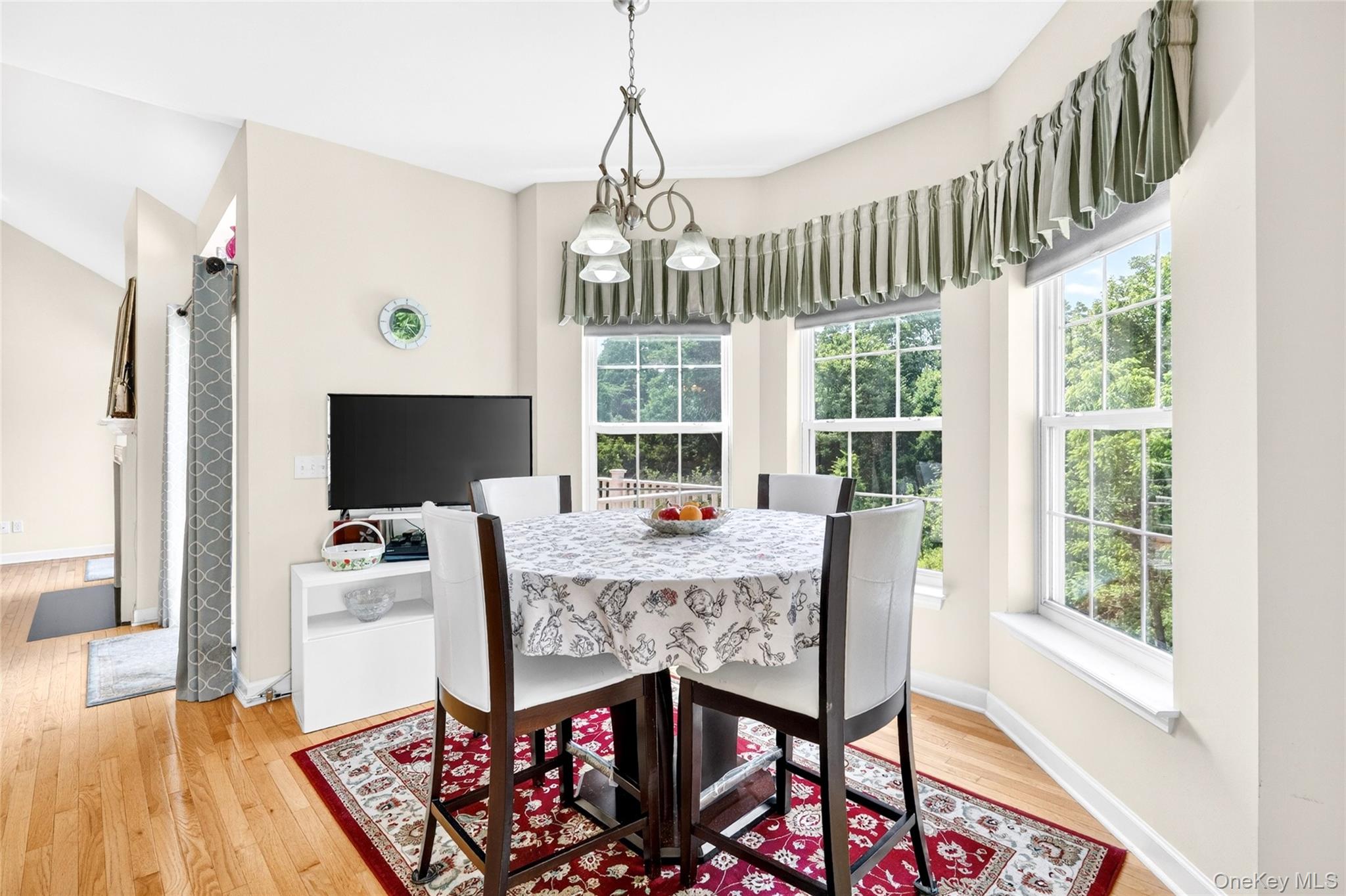 19 Ash Road Wappingers Falls, NY 12590 - Photo 3 of 50