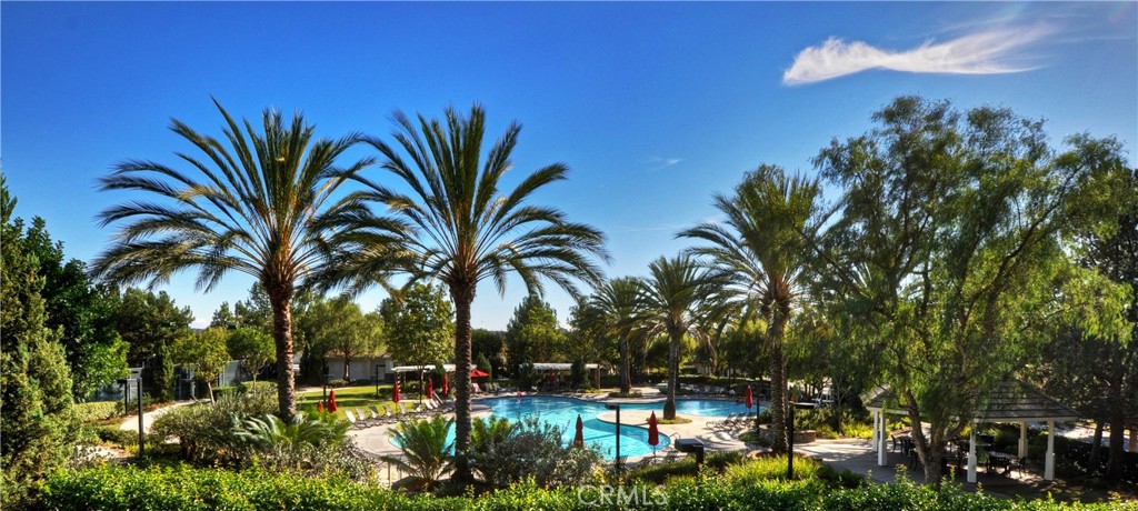4 Gaucho Road Ladera Ranch, CA 92694 - Photo 38 of 40 a row of palm trees and swimming pool