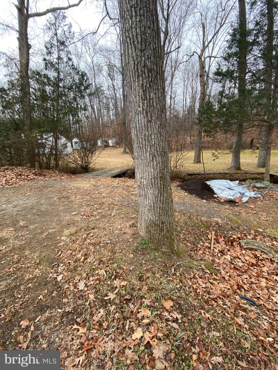 0 Jumping Branch Road Stafford, VA 22554 - Photo 18 of 18 Serene woodland retreat with autumn leaves.