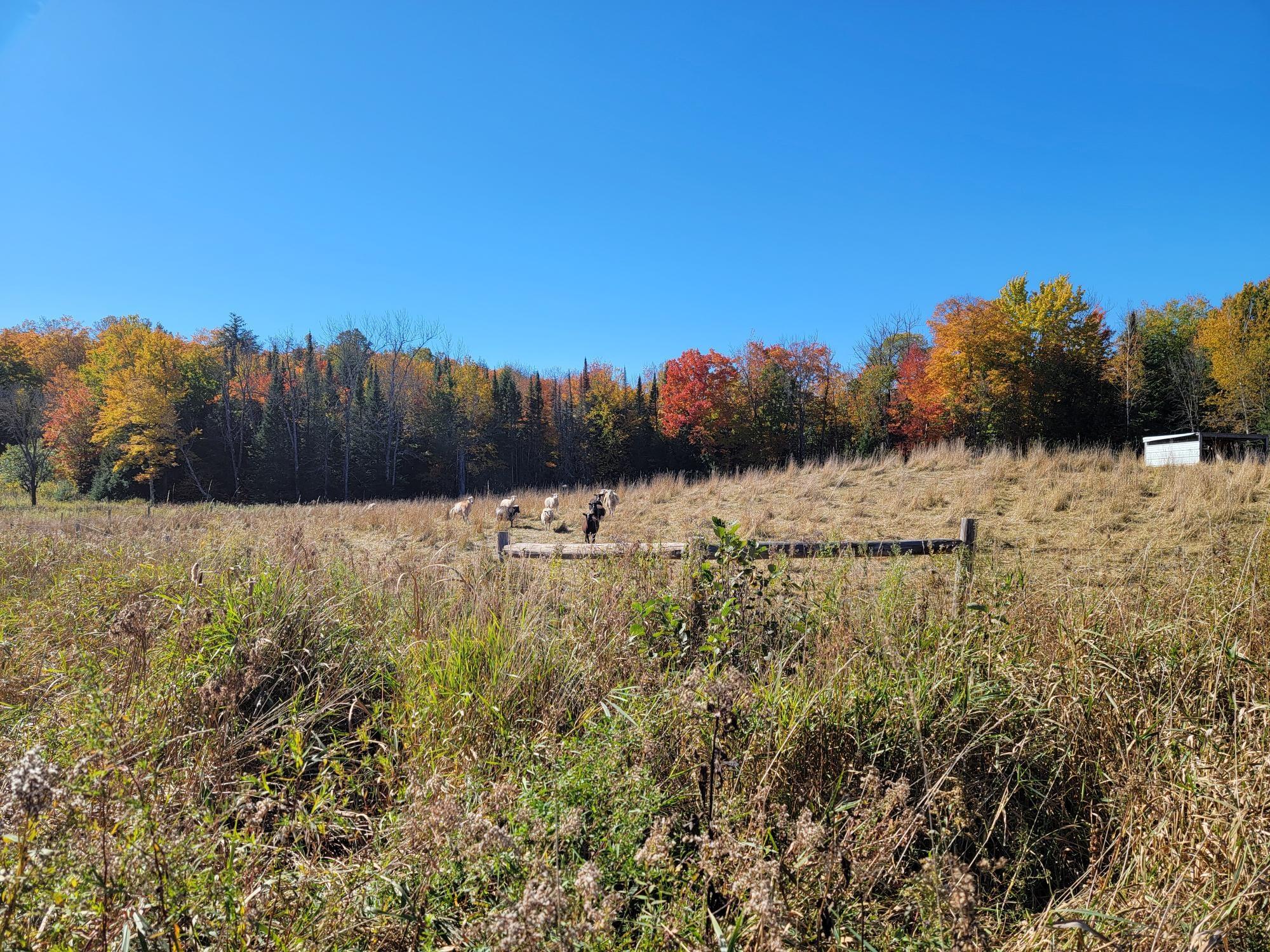 63999 Wolanek Road, Unit 313 ACRES Marengo, WI 54855 - Photo 91 of 93
