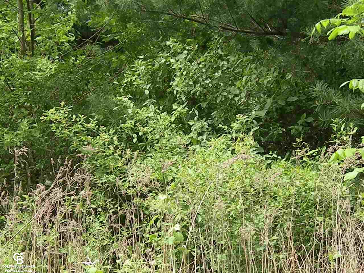 0 Ellsworth Road Columbus, MI 48063 - Photo 5 of 7
