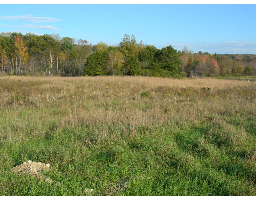 Lot 2 Adams Road Grafton, MA 01519 - Photo 22 of 26 a view of mountain with trees in background