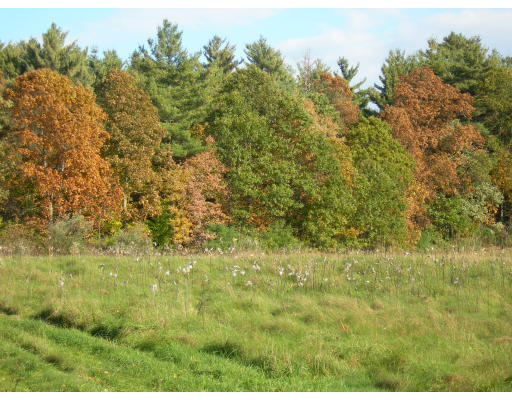 Lot 2 Adams Road Grafton, MA 01519 - Photo 23 of 26 a view of a field