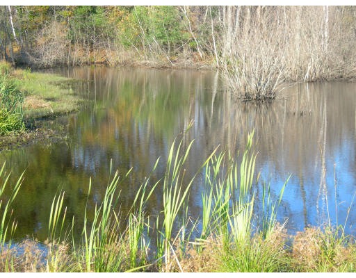 Lot 2 Adams Road Grafton, MA 01519 - Photo 25 of 26 a view of a lake with a big yard