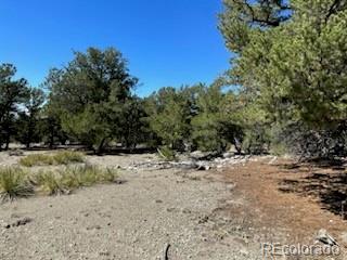 15 Mill Run Road Mosca, CO 81146 - Photo 3 of 8 a view of a dry yard with trees