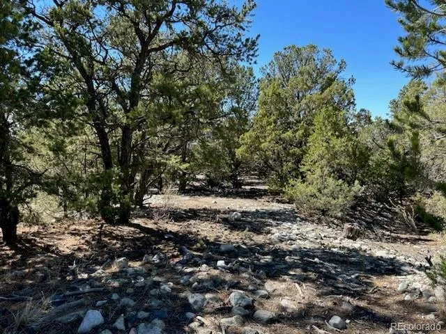 a view of a large yard with lots of green space