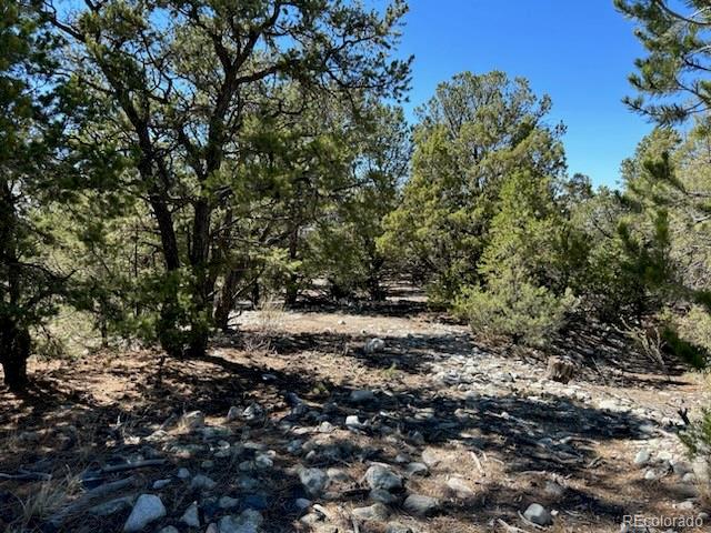 15 Mill Run Road Mosca, CO 81146 - Photo 5 of 8 a view of a large yard with lots of green space