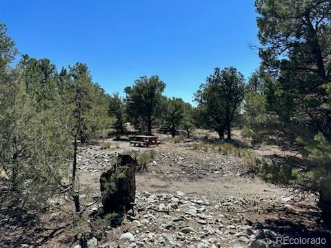 15 Mill Run Road Mosca, CO 81146 - Photo 6 of 8 a view of a forest with a trees