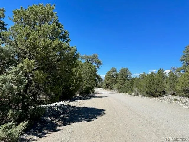 a view of a road with a trees in the background
