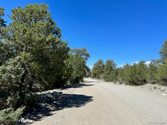 15 Mill Run Road Mosca, CO 81146 - Photo 7 of 8 a view of a road with a trees in the background
