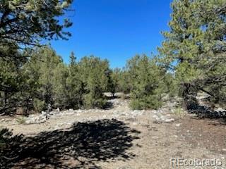 15 Mill Run Road Mosca, CO 81146 - Photo 8 of 8