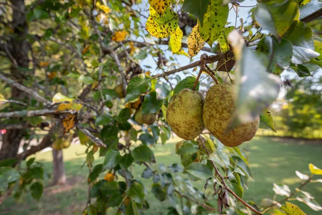 $425,000 | 1105 Goose Bay Road, Ashland City, TN 37015