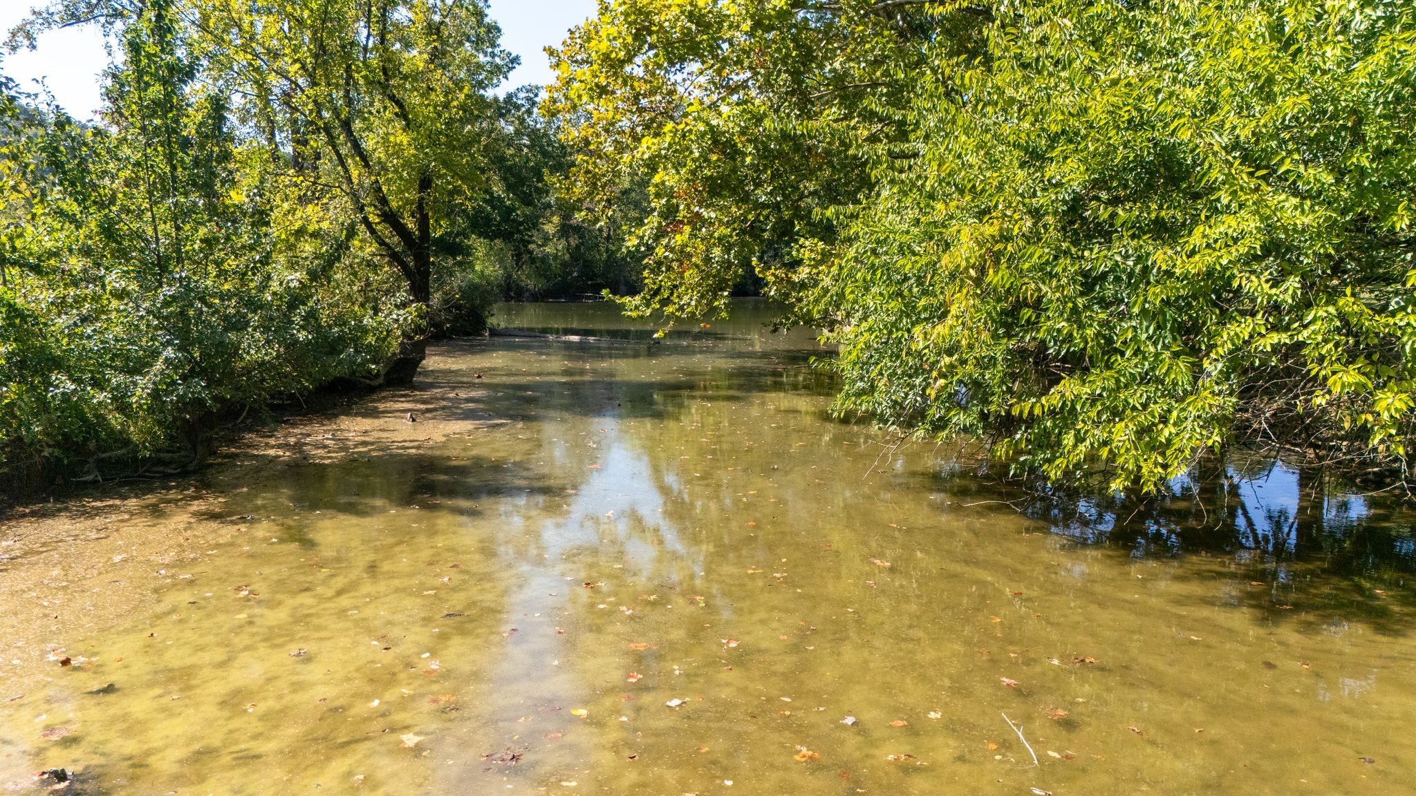 1105 Goose Bay Road Ashland City, TN 37015 - Photo 22 of 67