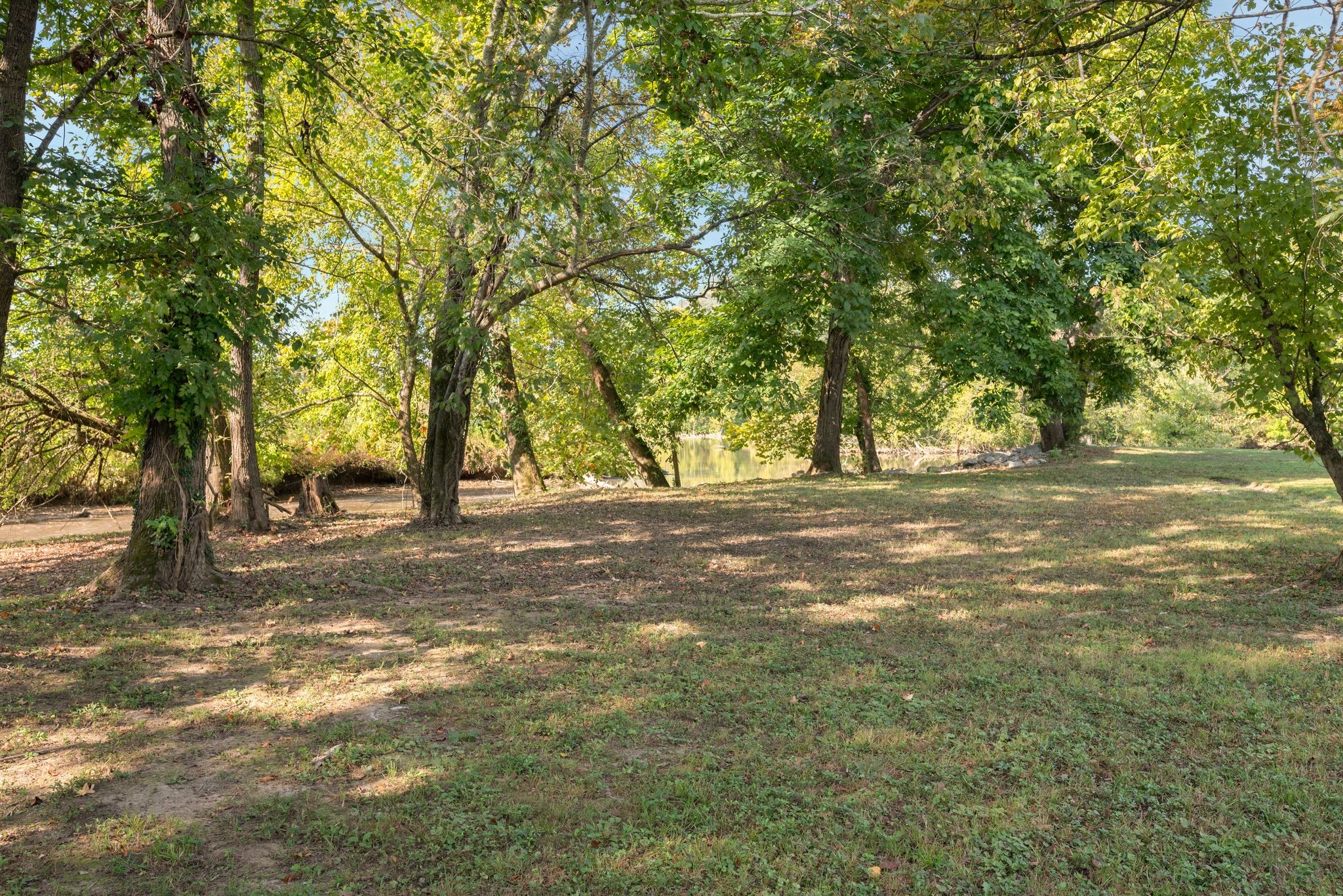 1105 Goose Bay Road Ashland City, TN 37015 - Photo 49 of 67