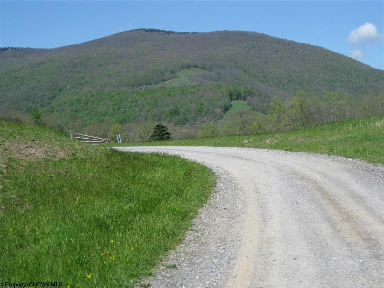 1290 Cherry Ridge Dryfork, WV 26263 - Photo 19 of 20 Gallery Image 19