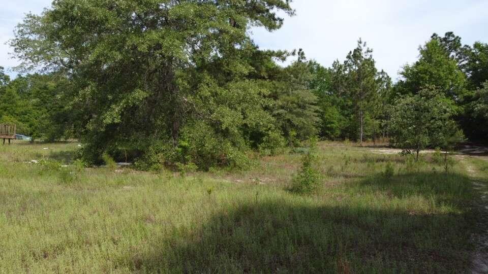 1327 Charlies Loop Williston, SC 29853 - Photo 6 of 6