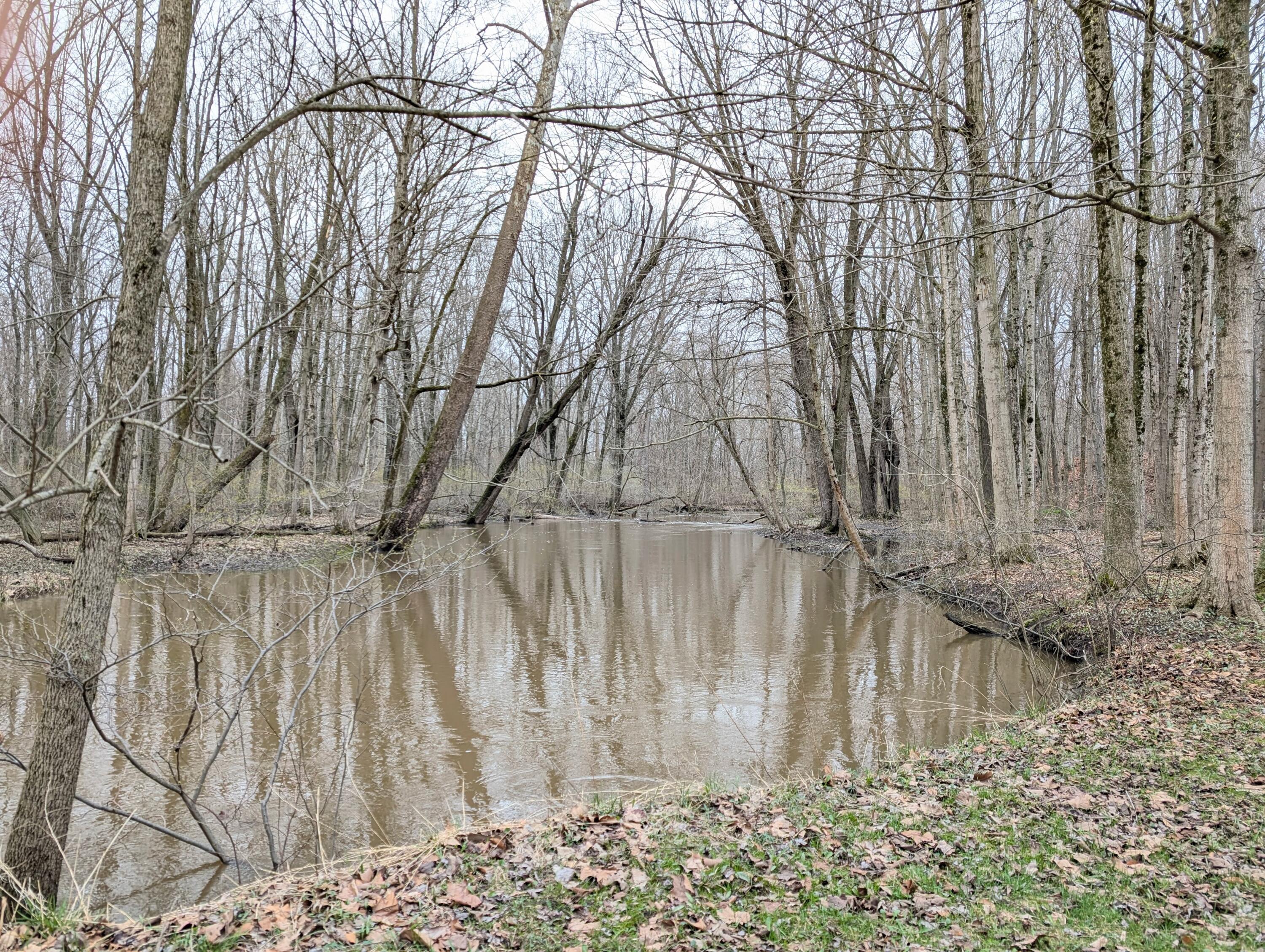 840 Black River Road Bangor, MI 49013 - Photo 11 of 42 Black River