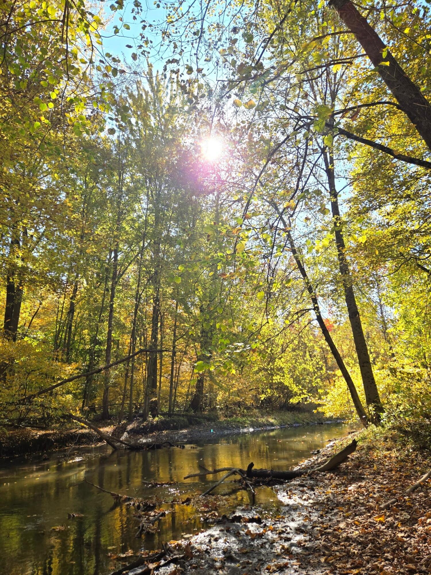 840 Black River Road Bangor, MI 49013 - Photo 41 of 42 Fall