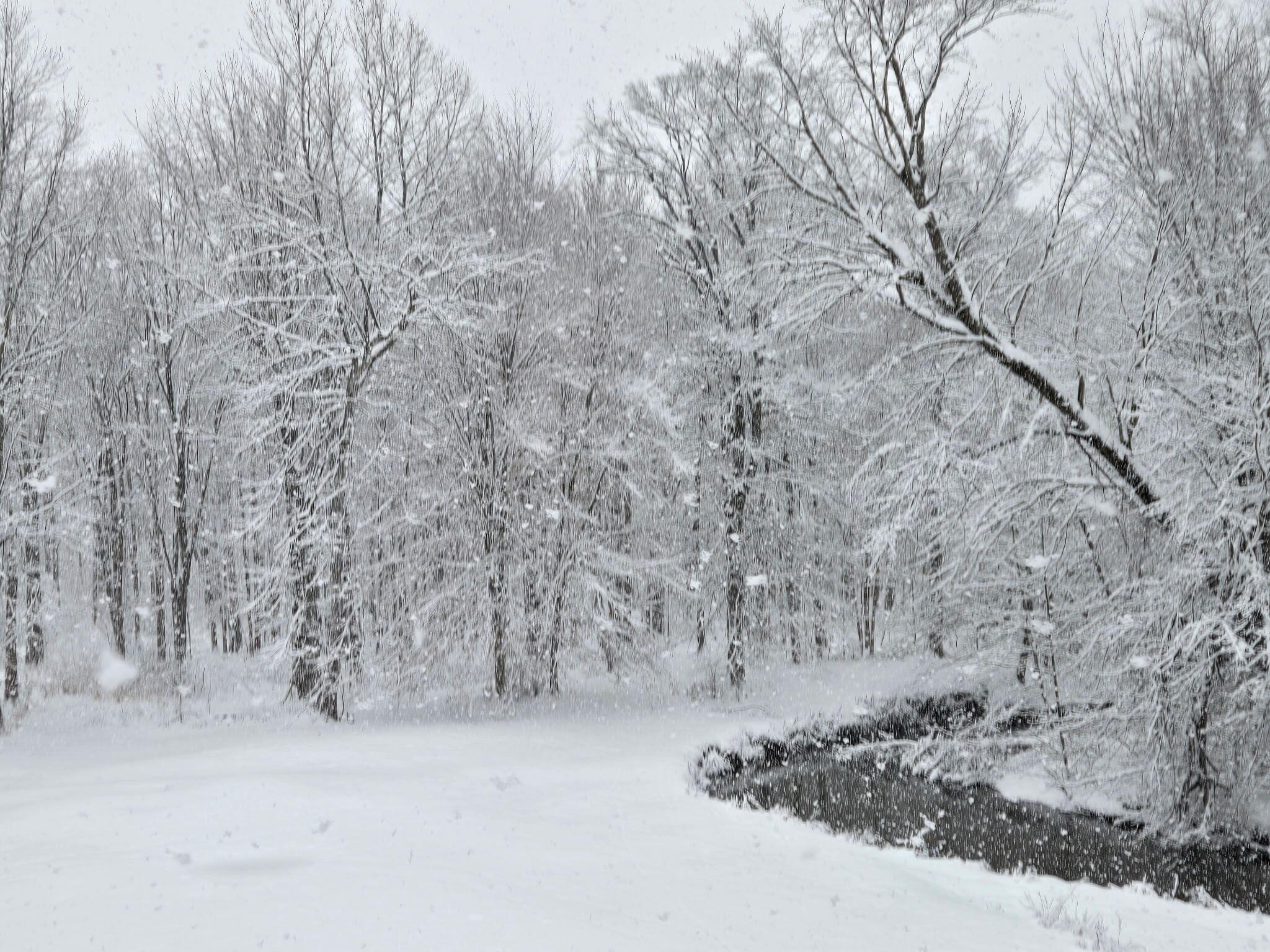 840 Black River Road Bangor, MI 49013 - Photo 42 of 42 Winter