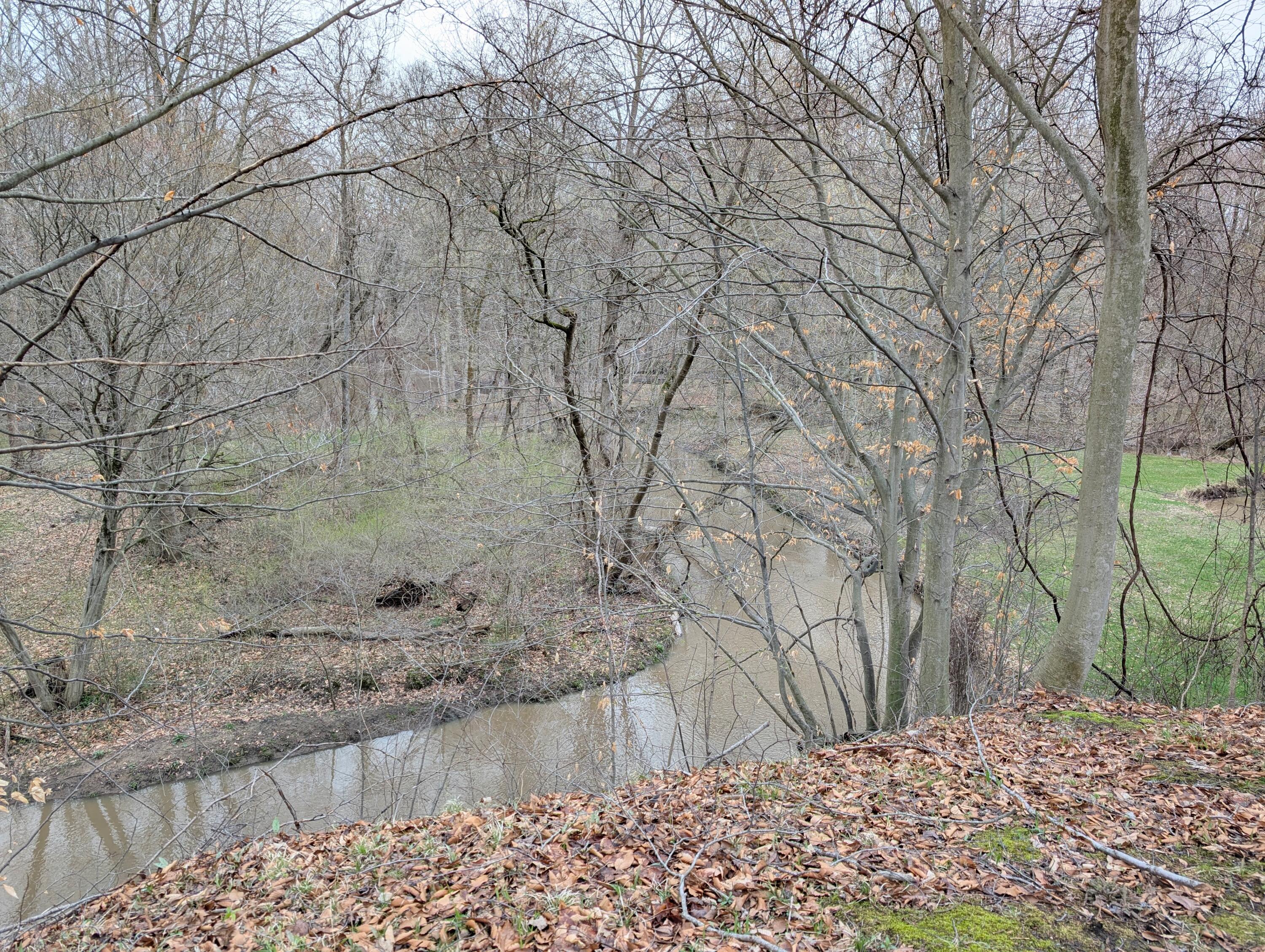 840 Black River Road Bangor, MI 49013 - Photo 8 of 42 Looking Down from Backyard