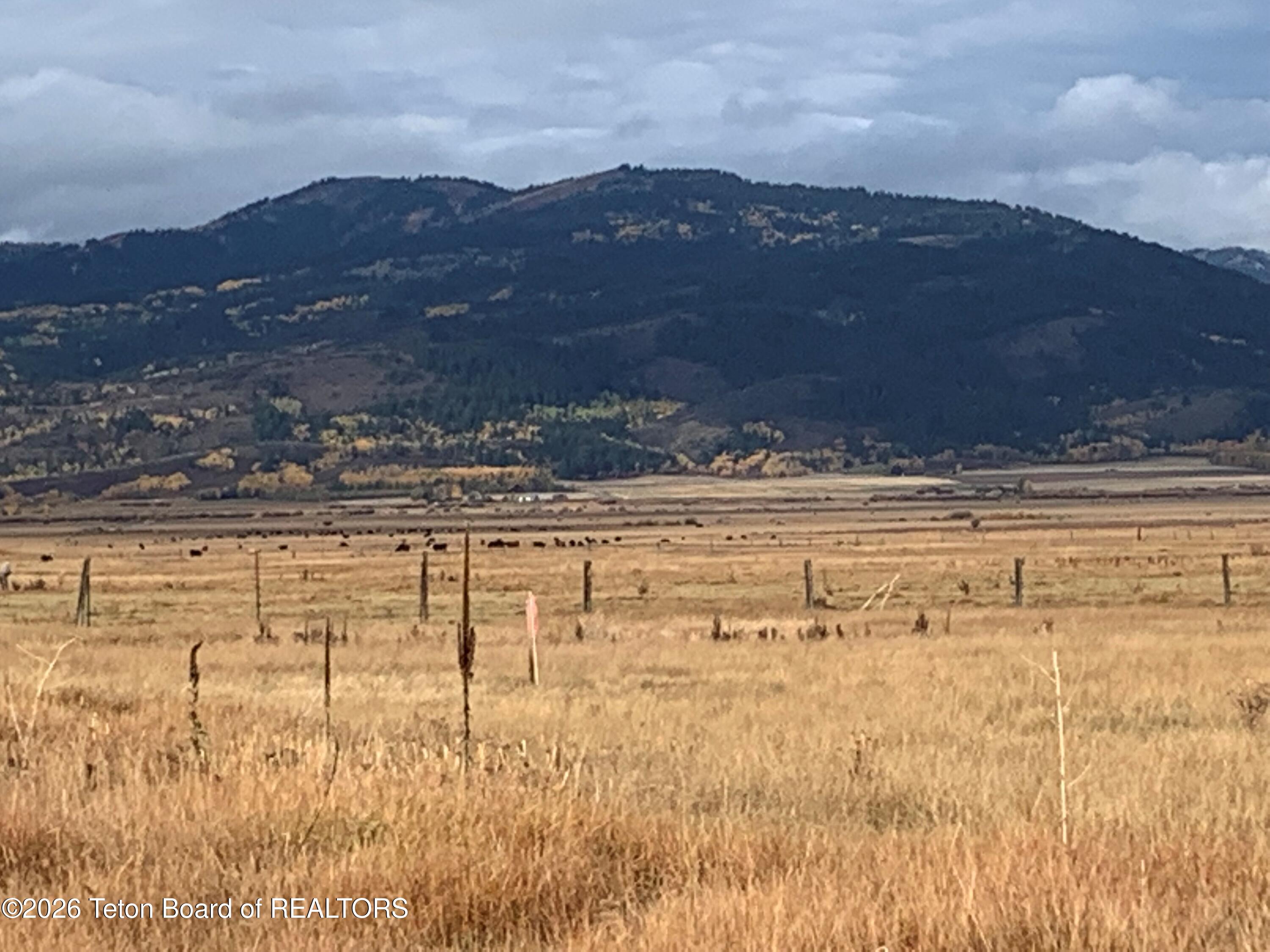 1302 River Meadows Drive Victor, ID 83455 - Photo 4 of 14 4 big hole mtns in fall views to west op