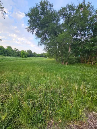 a view of yard with green space