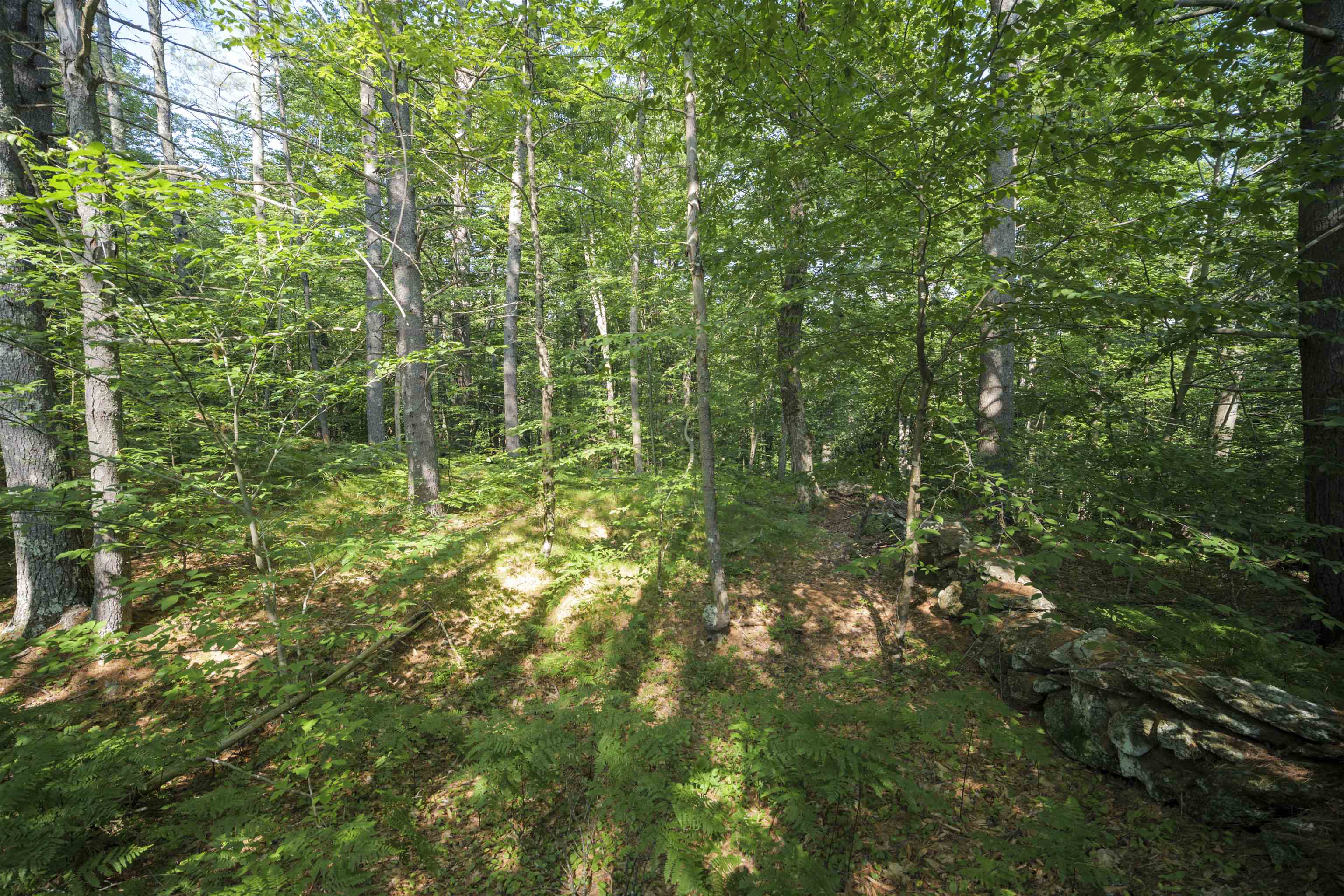 0 Howe Farm Road Jamaica, VT 05343 - Photo 14 of 25
