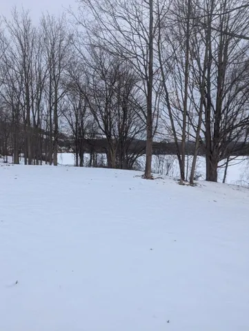 $180,000 | 7011 East William St Extension, Bath, NY 14810