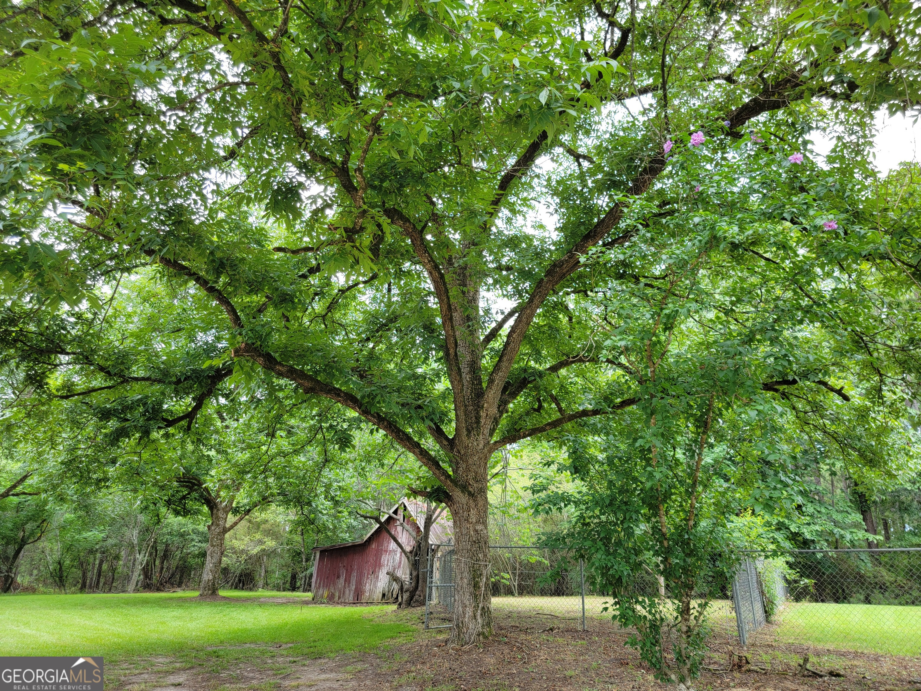 367 Mt Pleasant Church Road Gordon, GA 31031 - Photo 6 of 34