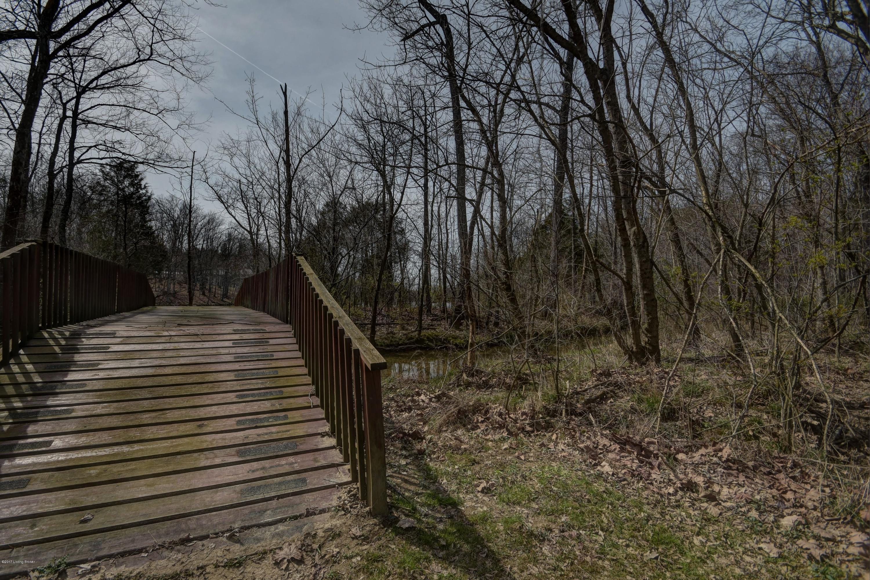 161 Conner Station Road Simpsonville, KY 40067 - Photo 32 of 47 Bridge to Lake
