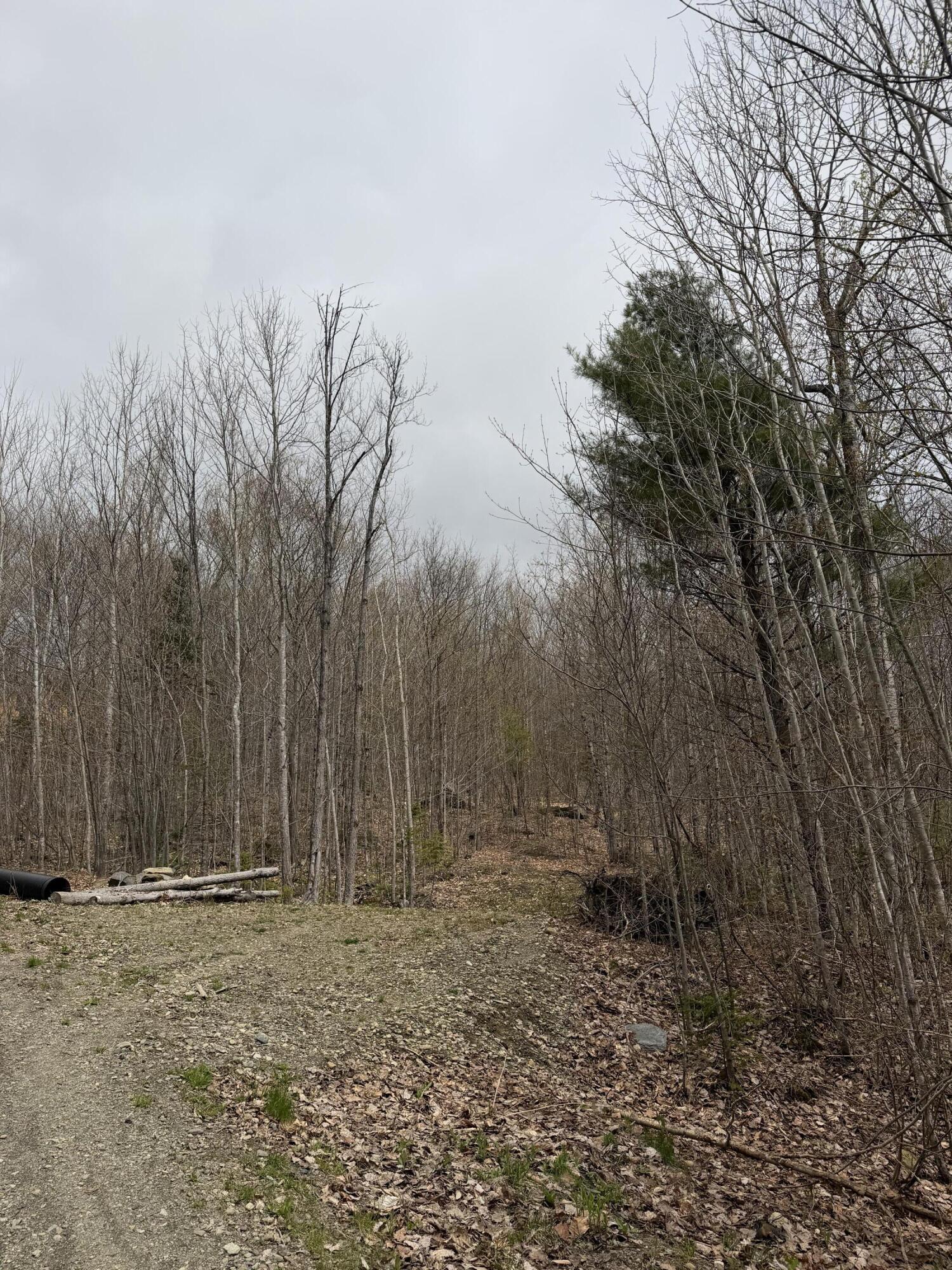 Lot 2 Mooseley Ridge Road Phillips, ME 04966 - Photo 6 of 24